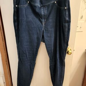 Lane Bryant Jeggings